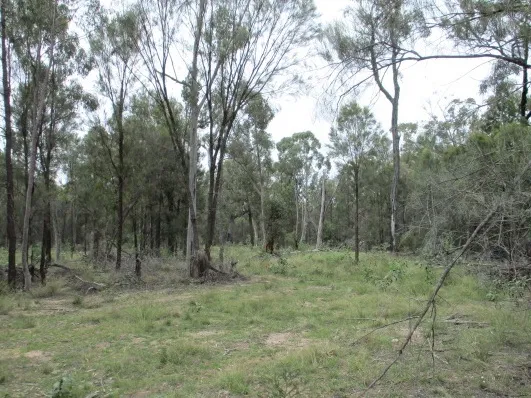 Nearly 30 acres only 10 minutes north of Tara