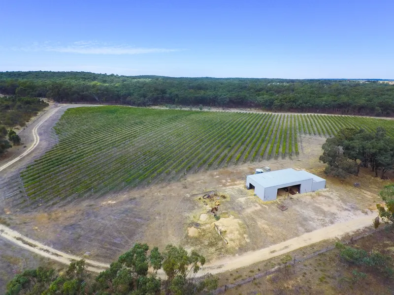 21.85ha (54 acres) “Glenmona Ridge” - Est 1996– Abundant Water & Possibilities