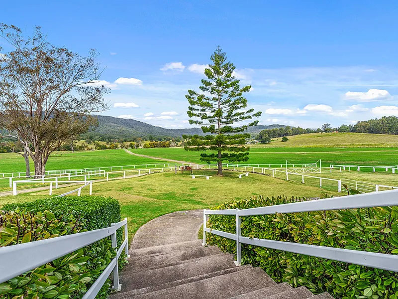 'The Ranch'