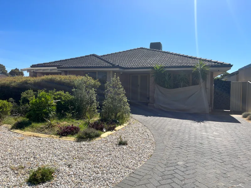 Watch Out Efren Reyes!!