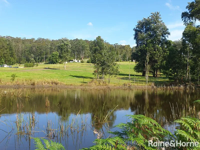 Prime 38 Acres within Minutes to Beaches + 4 Bed Family Home