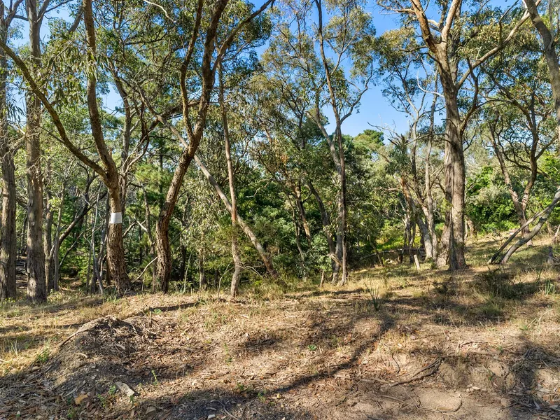 Elevated Corner Block With Planning Permit