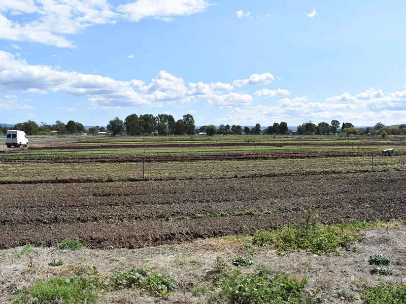 LOOKING FOR SELF SUFFICIENCY?