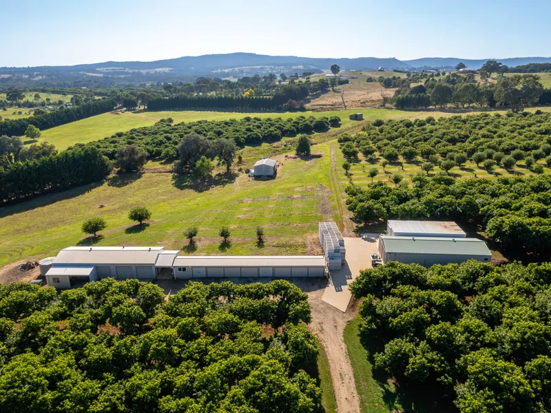 19 Zig Zag Road, Beechworth