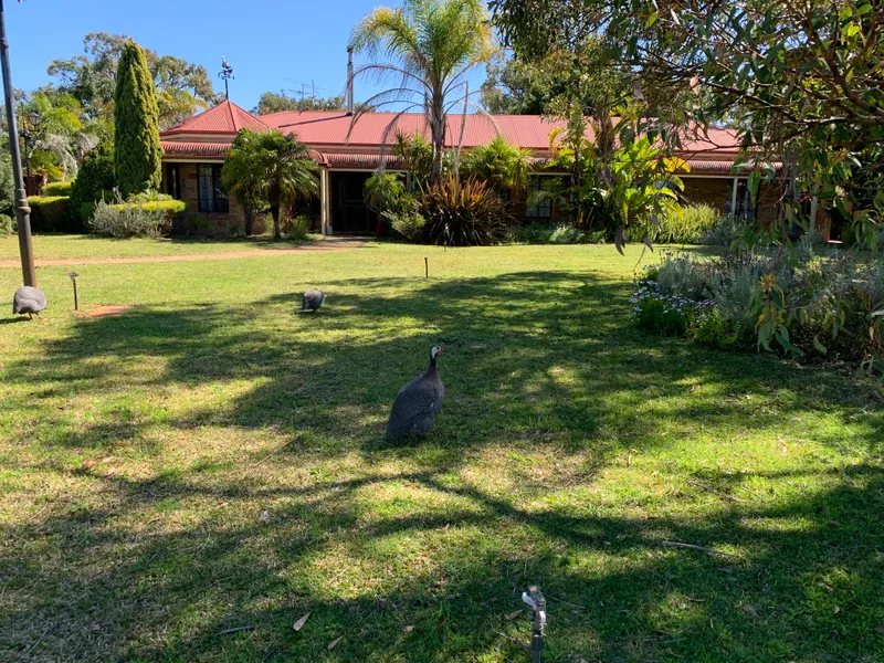 WANTED - Custodians of the Banksia Woodlands 64.68 ha (160 Ac) Harvey Shire