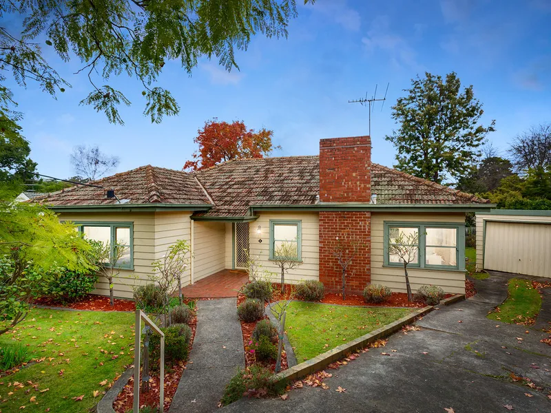 Wonderful Wattle Park