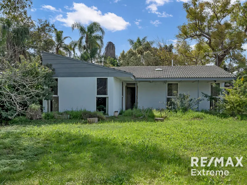 A DIAMOND IN THE ROUGH!