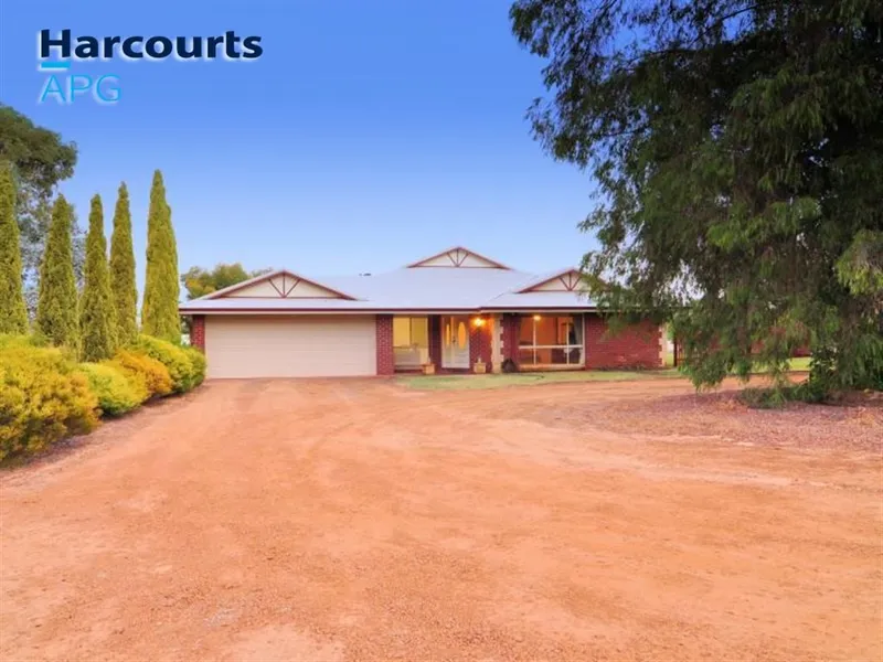 SOLD by John Cahill