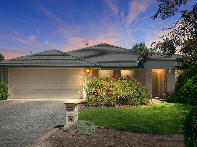 Executive family entertainer