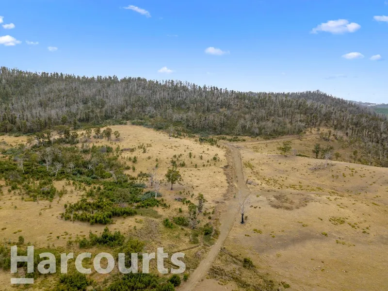 Rare 100 Acres of Land - Embrace Your Private Lifestyle