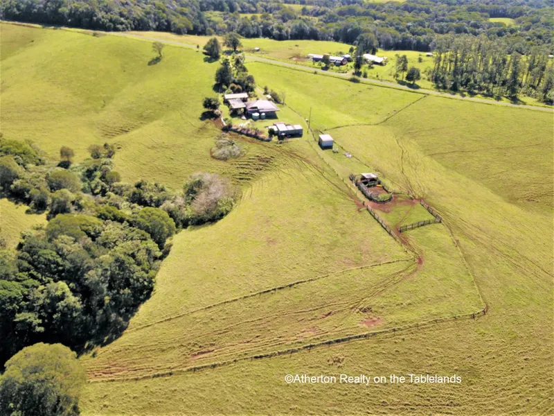 EXCELLENT FATTENING  MALANDA/TOPAZ PROPERTY