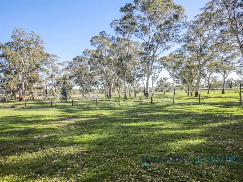 15 Acres Highly Productive Country - Build or Renovate?