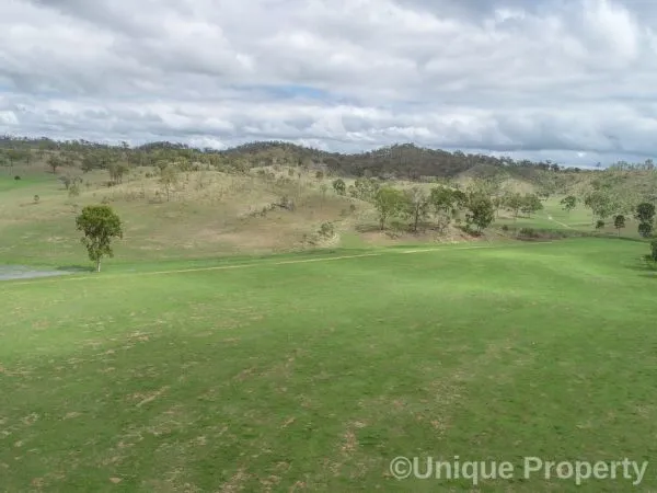 40hd Breeder Country + Weaners