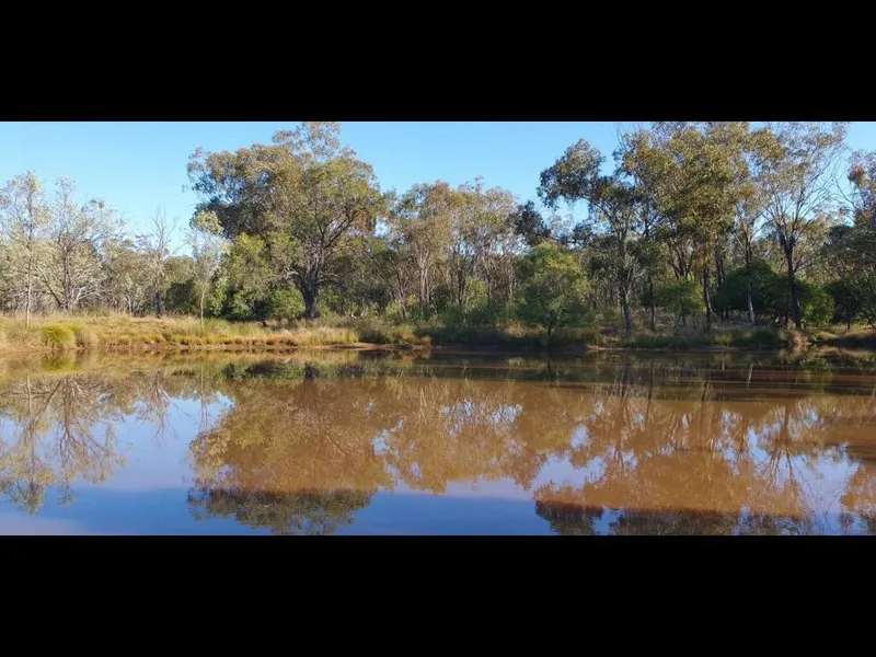Nature Retreat - Lifestyle Property