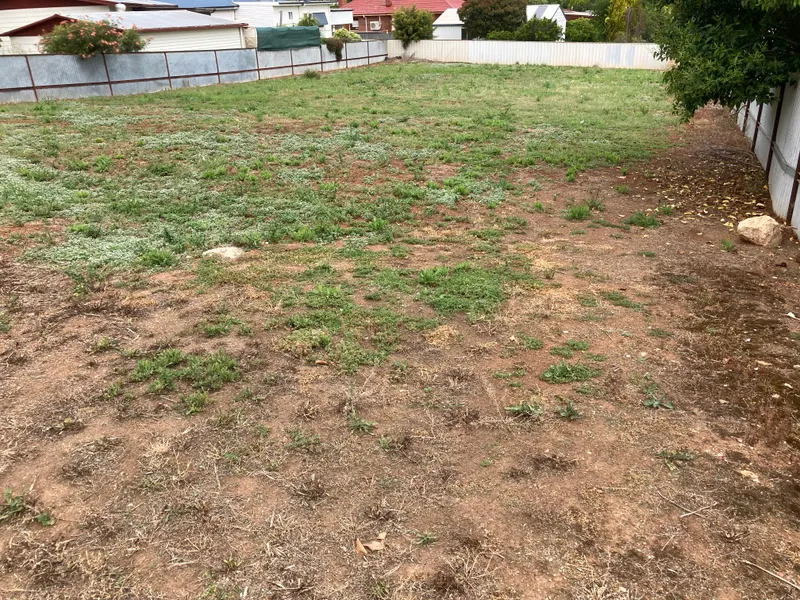 Building Block in Established Area