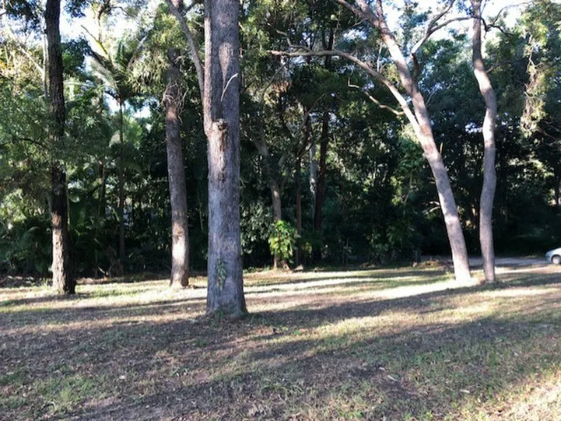 On Northern End of Macleay, Close to Pats Park