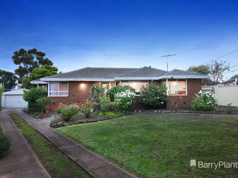 Immediate Family Appeal in a Prime Position.