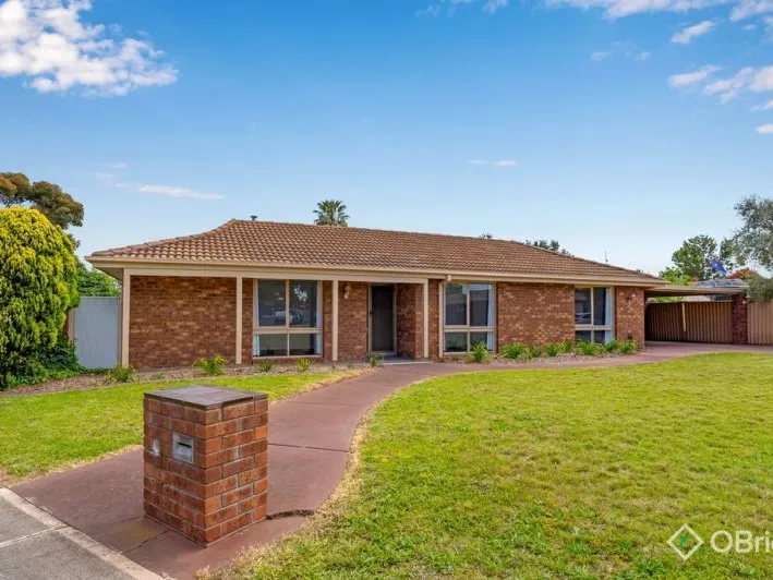 Freshly Renovated Home