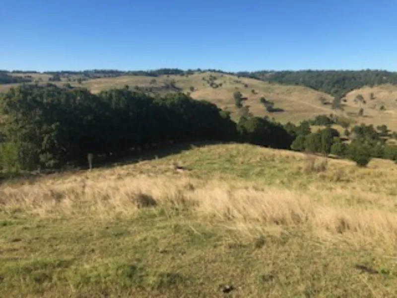 Richmond Hill 127 Acre Development Potential