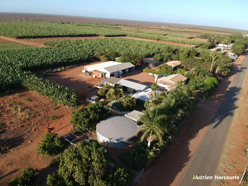 'Alkatraz Plantation', 7.65ha (18.90 acres)