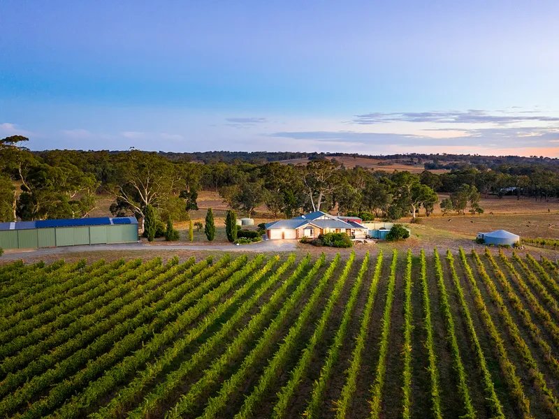A slice of the Mediterranean: specialty vines, sparkling pool, hilltop views and room to move