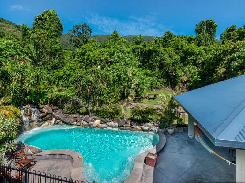 Elevated tropiocal rainforest setting - Reduced Price