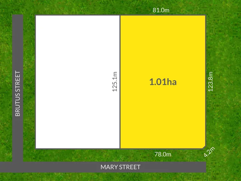1 HA of land close to the heart of Kingston