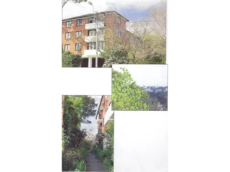 City Views, secure and private with a tree top aspect