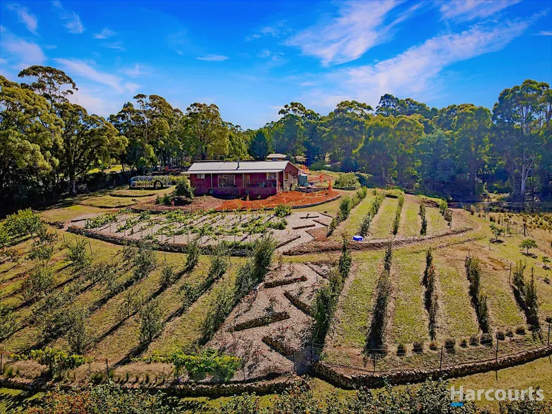 Sustainable Living in St Marys, Tasmania