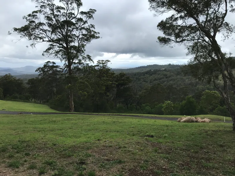 Stunning Views and Wildlife in Magnificent Ravensbourne