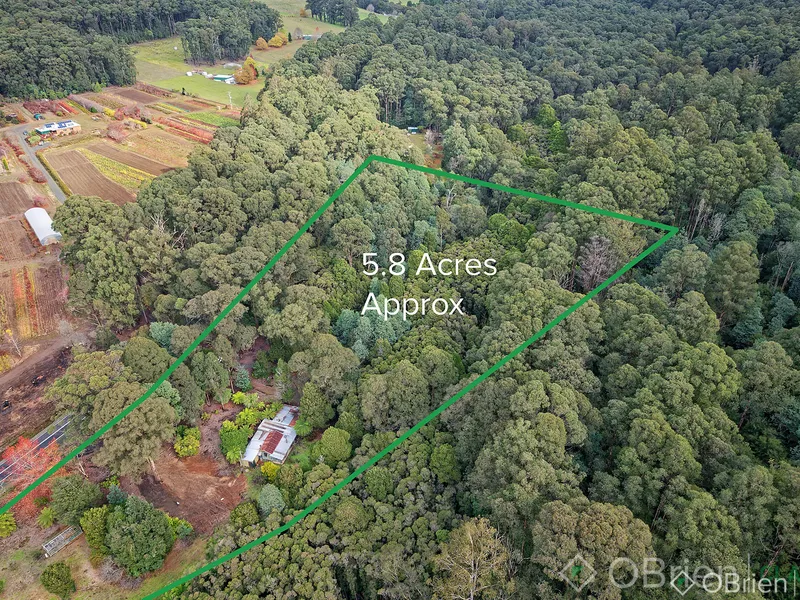 5.8 Acres of Surreal Bushland property