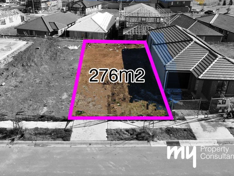 BLANK CANVAS - REGISTERED & READY