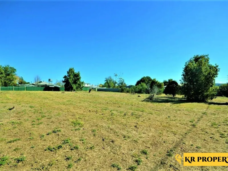 DOUBLE BLOCK IN GROWTH TOWN