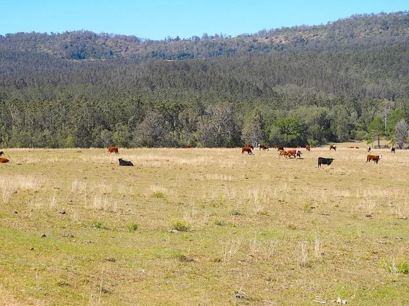 1300 ACRES - FARMING LAND - TIMBER PRODUCTION