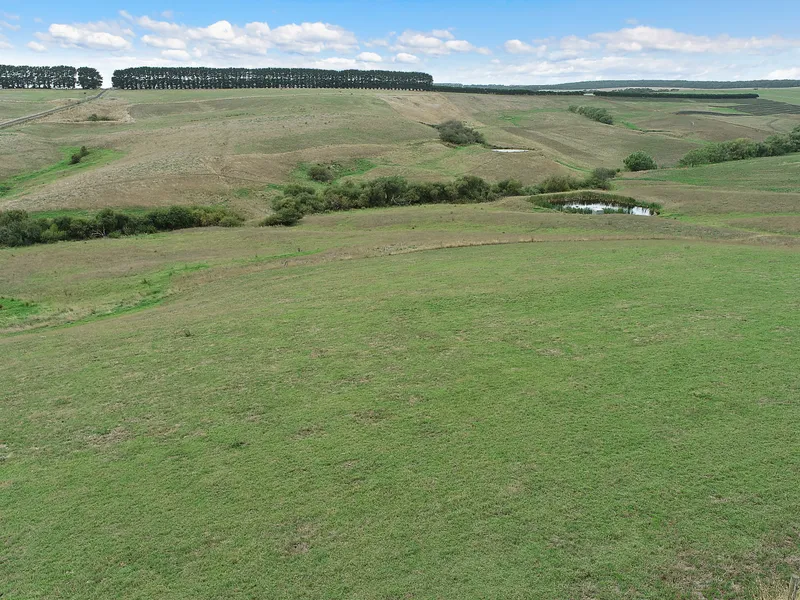 Otway Hinterland Lifestyle Awaits