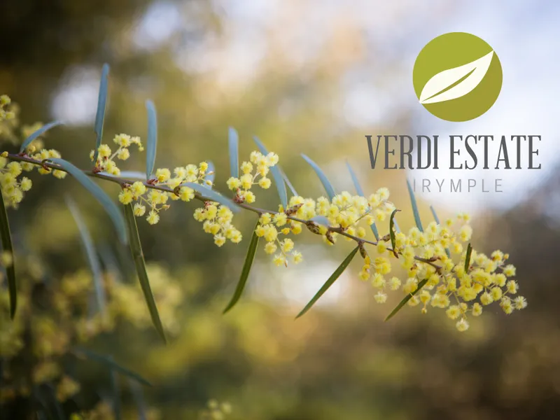 Verdi Estate Irymple.
