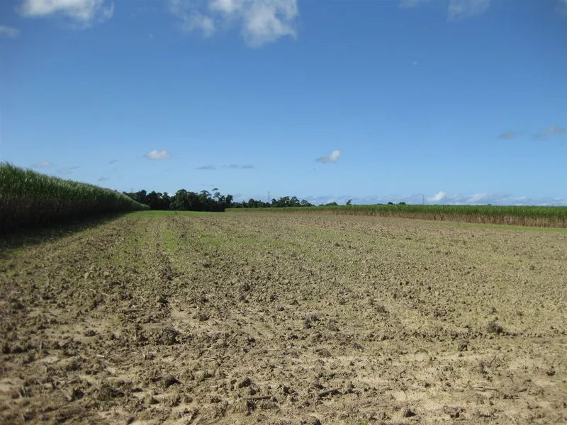 26.6 ha Cane farm with creek, would also suit cattle use