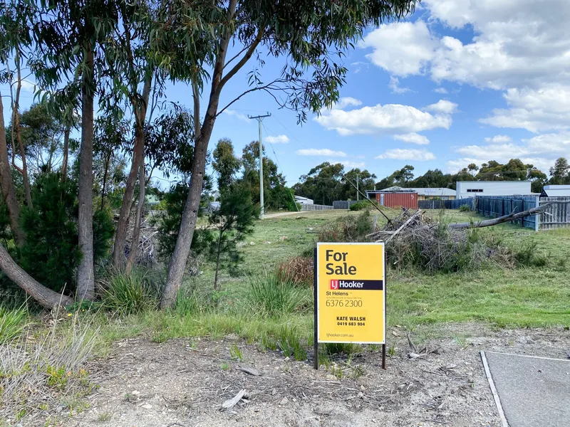 Large Block in Sunny Scamander