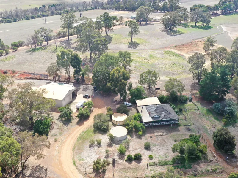 Country Delight - Opportunity