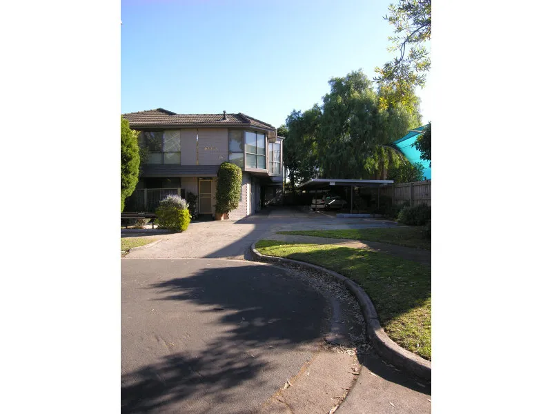 In the Heart of Elsternwick