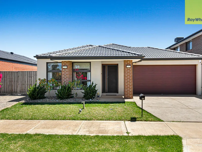 IMMACULATE, MODERN LIVING