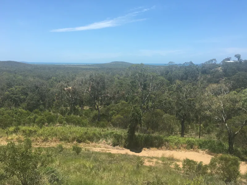 1278 sqm block with bush and ocean views!