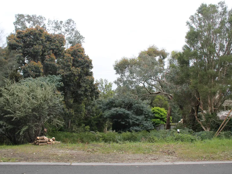 THE OPPORTUNITY AWAITS   