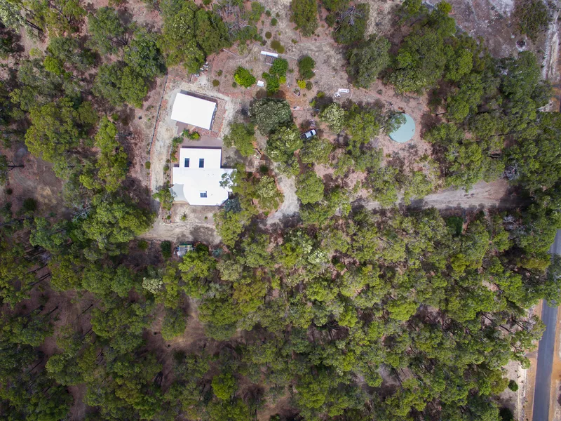 HOME IN THE FOREST