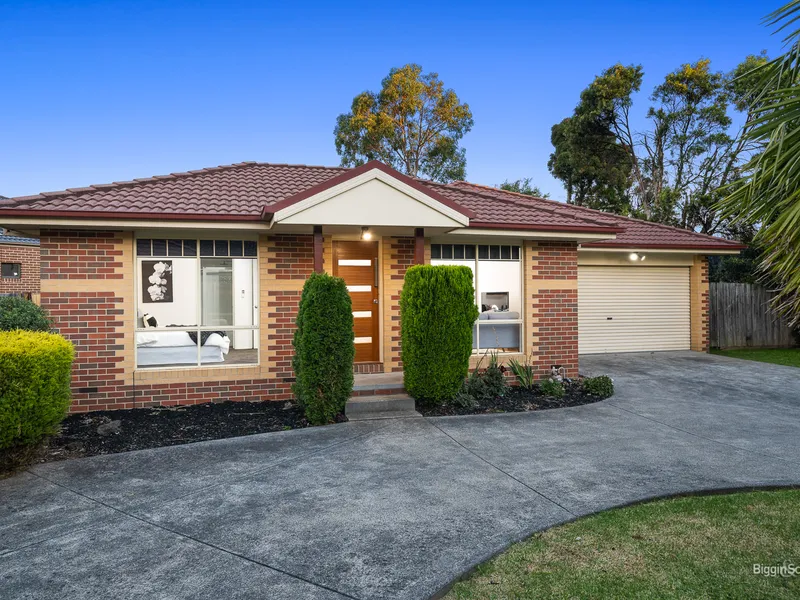 If you’re looking for Brand New!!