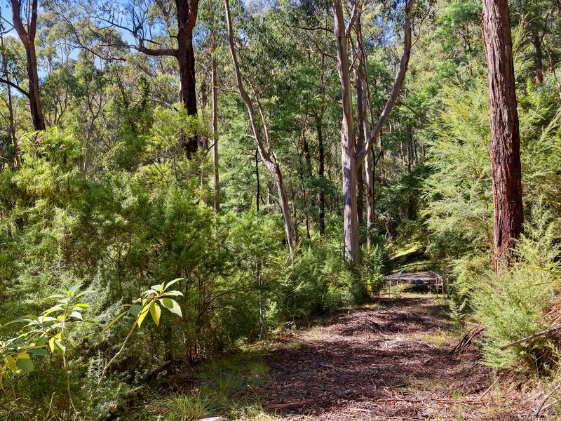 Over 2 acres with filtered mountain views