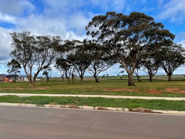 Toolern Waters Estate - 571m2 - Park View