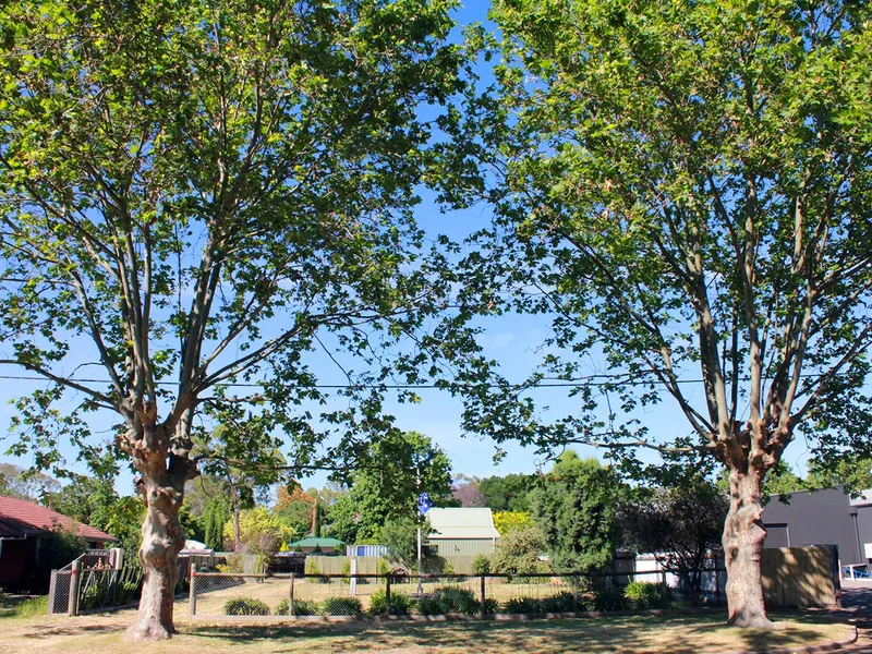 Building Allotment ~ 1/4 acre ~ Superb Location.