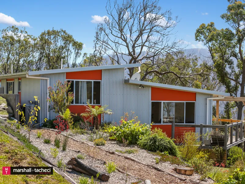 A Bird’s Eye View + A Stylish Home on 8ha