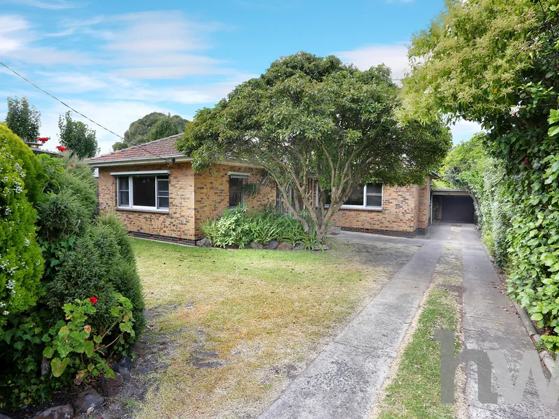 Charming Brick Home, With Plenty Of Potential 